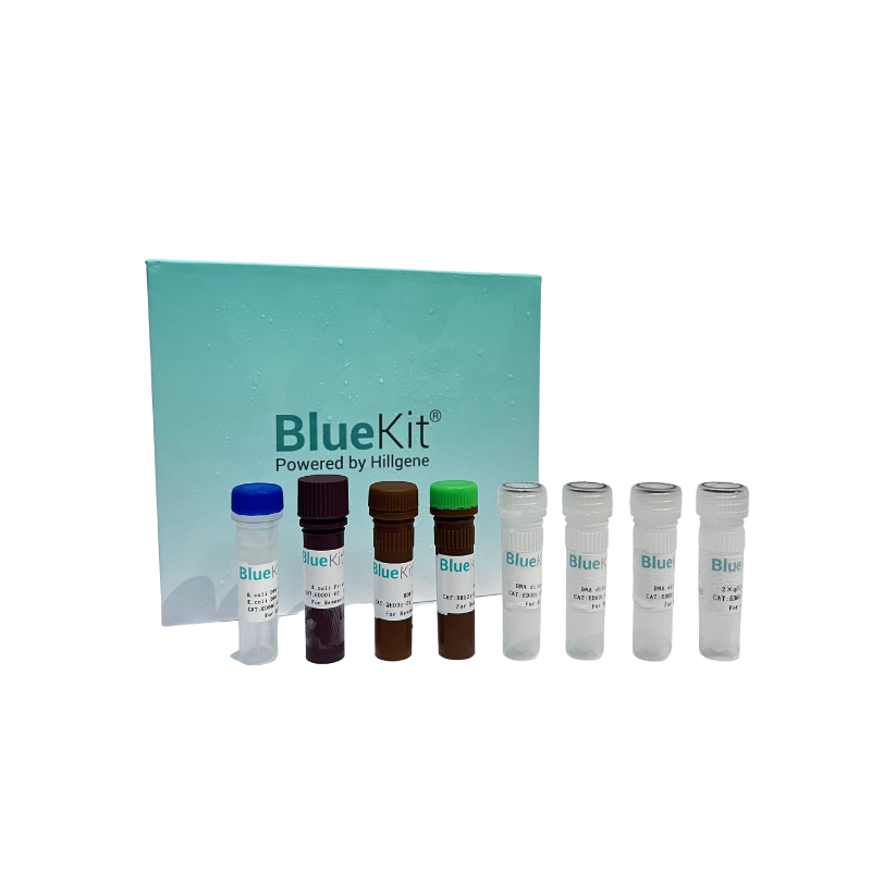 E.coli残留DNA检测试剂盒（qPCR-荧光探针法）