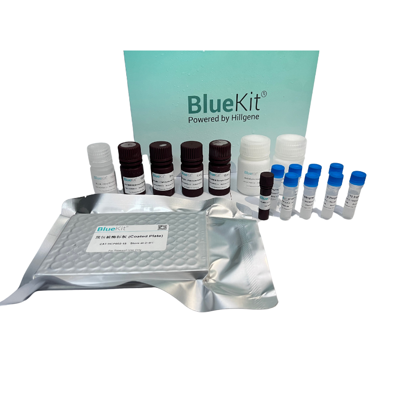 E.coli HCP ELISA 检测试剂盒（2G）