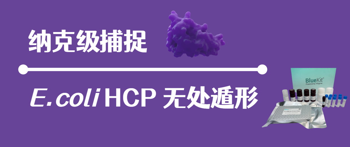 banner.png