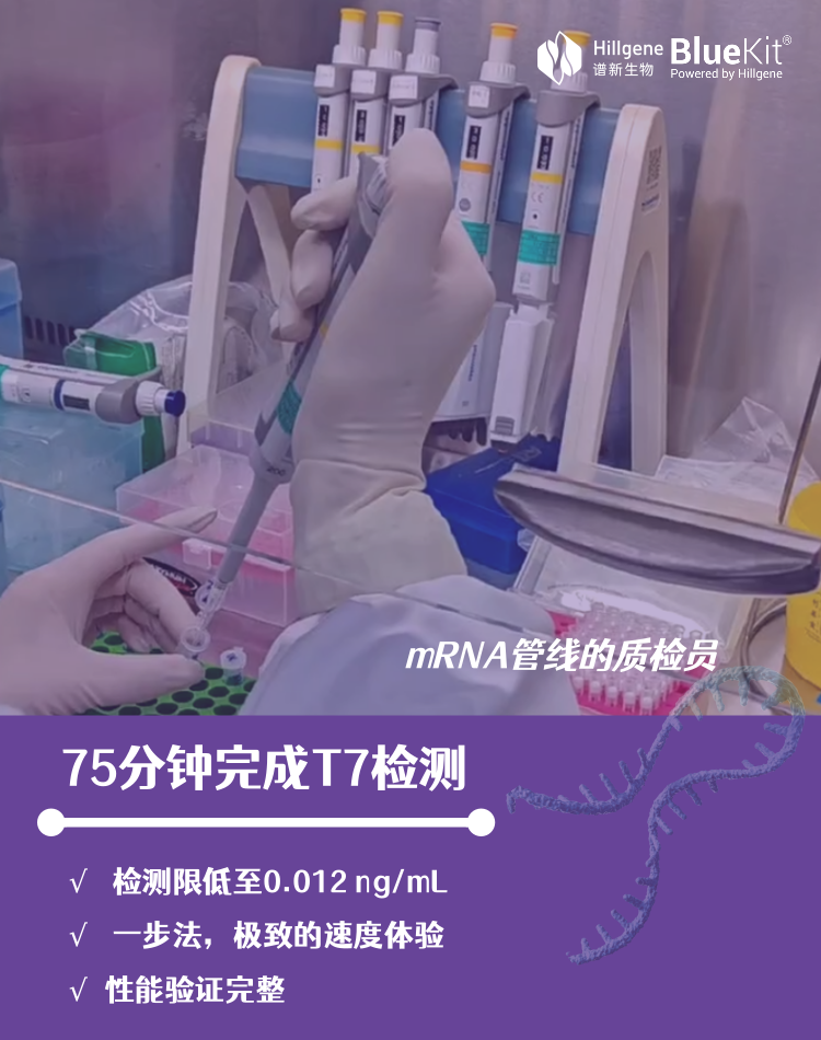 T7海报@凡科快图.png