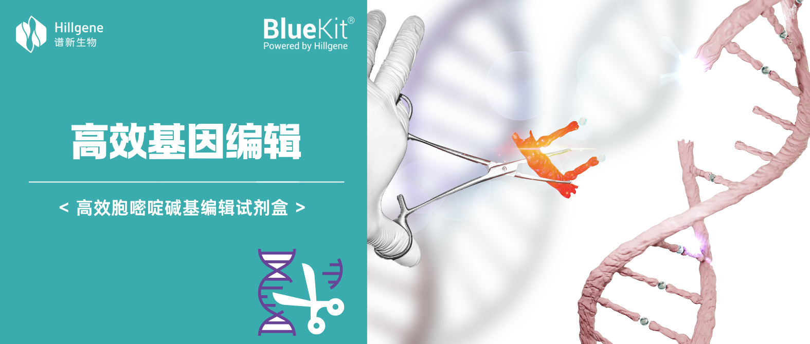 基因编辑.png